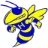 Hillsdale Community Schools logo