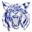 Hinsdale Central School District logo