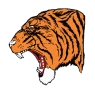 Hollister R-V School District logo