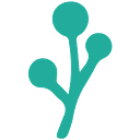 City of Holly Springs logo