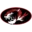 Houston R-I School District logo