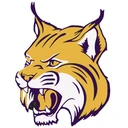 SKIDMORE-TYNAN H S logo