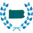 Insight PA Cyber CS logo