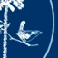 Town of Jackson logo