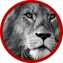 Kountze Independent School District logo