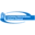 Lenawee Isd logo
