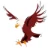 Lone Pine Unified logo