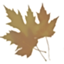 Town of Manchester logo