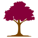 City of Medford logo