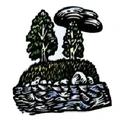 Morrow County Park Board logo