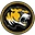 Mount Pleasant Independent School District logo