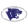Mt. Morris Consolidated Schools logo