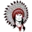Navajo Public Schools logo