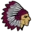Neligh-Oakdale Schools logo