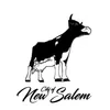 New Salem Park District logo