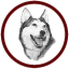 New Holstein School District logo