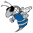 Nicholas County School District logo