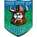 Town of Norway logo