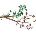 Novato Charter District logo