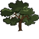 Town of Oak Grove logo