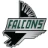 Falcons Online Academy-hs logo