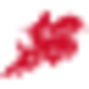 Painesville City Local Schools logo
