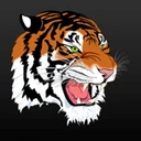 Palmer Public Schools logo