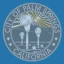 City of Palm Springs logo