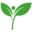 Randolph Academy Union Free School District logo