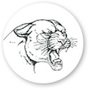 Riverside Beaver County SD logo