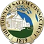 Town of Salem logo