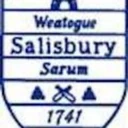 Town of Salisbury logo