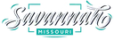 Town of Badger logo