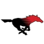 Shallowater Independent School District logo