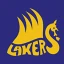 Shell Lake School District logo