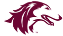 Southern Illinois University-Carbondale logo