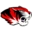 Skyline R-II School District logo