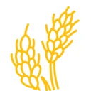 Solanco SD logo