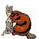Town of South Beaver logo