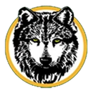 San Ramon Valley High logo