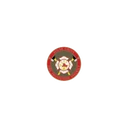 Sugar Grove Fire Protection District logo