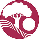 Town of Superior town logo
