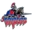 Southern Wells Community Schools logo