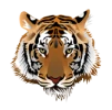 Talihina Public Schools logo