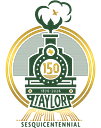 City of Taylor logo