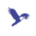 New American Academy Charter School (The) logo