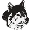 Town of Black Wolf logo