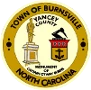 Town of Burnsville logo