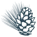 Town of Jena logo