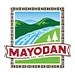 Town of Mayodan logo